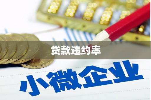 龙南贷款违约率