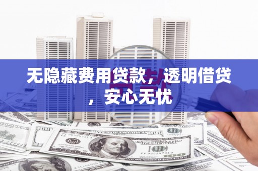 龙南无隐藏费用贷款，透明借贷，安心无忧