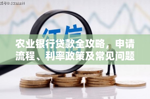 龙南农业银行贷款全攻略，申请流程、利率政策及常见问题解析