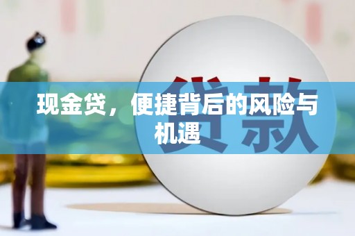 龙南现金贷，便捷背后的风险与机遇
