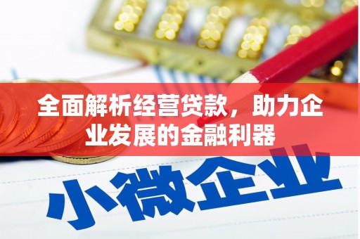 龙南全面解析经营贷款，助力企业发展的金融利器