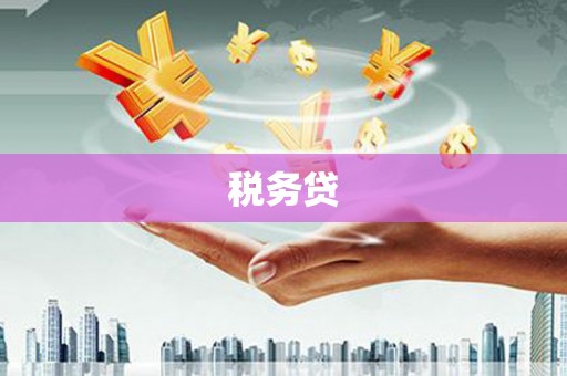 龙南税务贷
