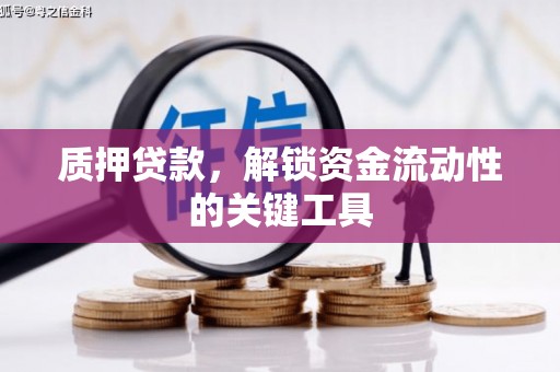 龙南质押贷款，解锁资金流动性的关键工具