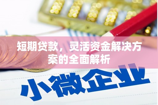 龙南短期贷款，灵活资金解决方案的全面解析