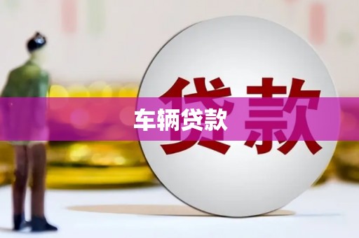 龙南车辆贷款