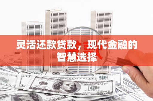 龙南灵活还款贷款，现代金融的智慧选择