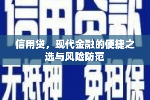 龙南信用贷，现代金融的便捷之选与风险防范