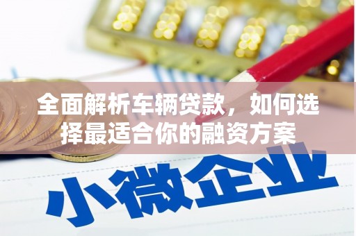 龙南全面解析车辆贷款，如何选择最适合你的融资方案