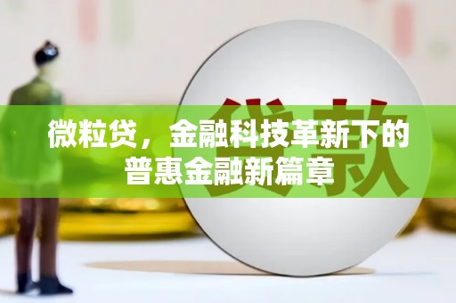 龙南微粒贷，金融科技革新下的普惠金融新篇章