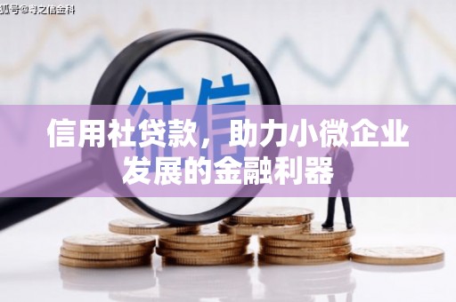 龙南信用社贷款，助力小微企业发展的金融利器