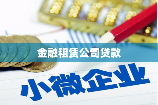 龙南金融租赁公司贷款