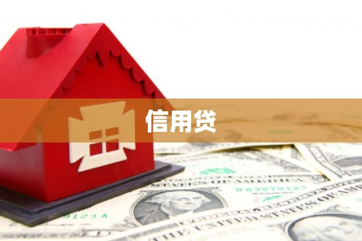 龙南信用贷