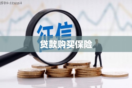 龙南贷款购买保险