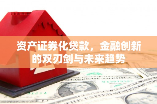龙南资产证券化贷款，金融创新的双刃剑与未来趋势
