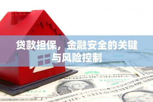 龙南贷款担保，金融安全的关键与风险控制