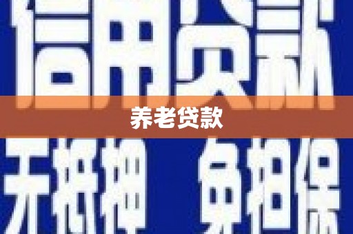 龙南养老贷款