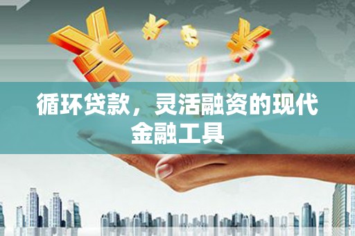 龙南循环贷款，灵活融资的现代金融工具