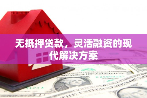 龙南无抵押贷款，灵活融资的现代解决方案
