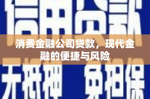 龙南消费金融公司贷款，现代金融的便捷与风险