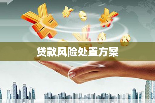 龙南贷款风险处置方案