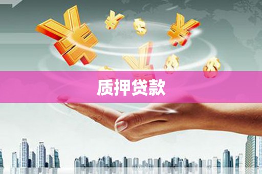 龙南质押贷款