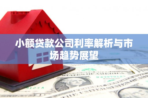 龙南小额贷款公司利率解析与市场趋势展望