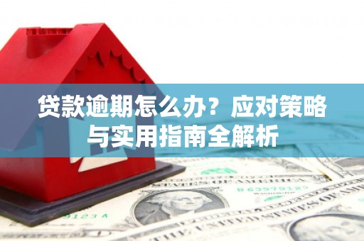 龙南贷款逾期怎么办？应对策略与实用指南全解析