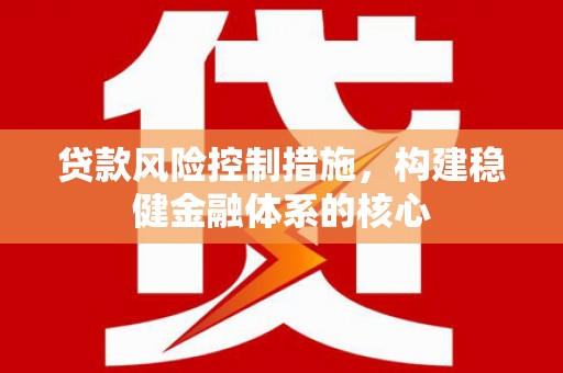 龙南贷款风险控制措施，构建稳健金融体系的核心