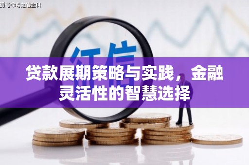 龙南贷款展期策略与实践，金融灵活性的智慧选择