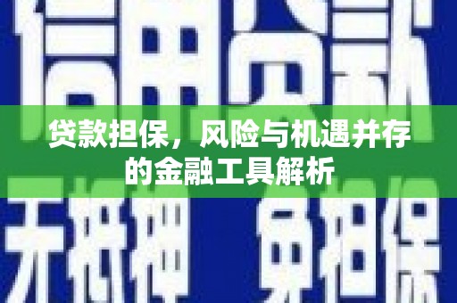 龙南贷款担保，风险与机遇并存的金融工具解析