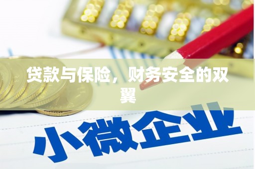 龙南贷款与保险，财务安全的双翼