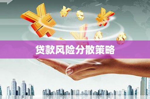 龙南贷款风险分散策略