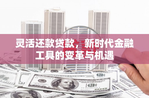 龙南灵活还款贷款，新时代金融工具的变革与机遇