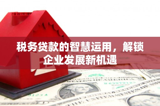 龙南税务贷款的智慧运用，解锁企业发展新机遇