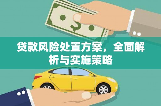 龙南贷款风险处置方案，全面解析与实施策略