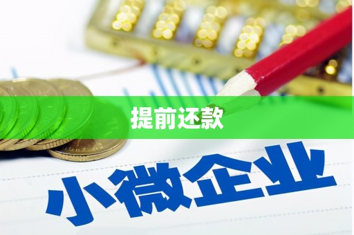 龙南提前还款