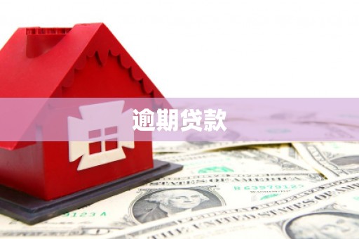 龙南逾期贷款