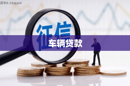 龙南车辆贷款